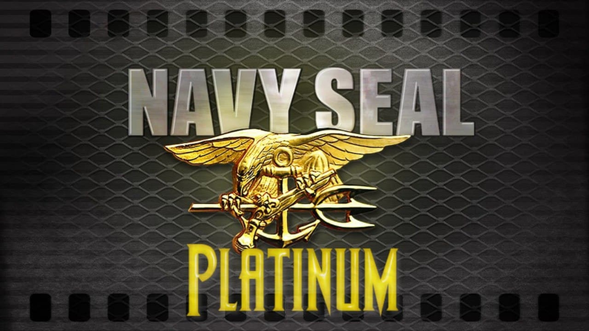 Navyseal Platinum K19 fanart