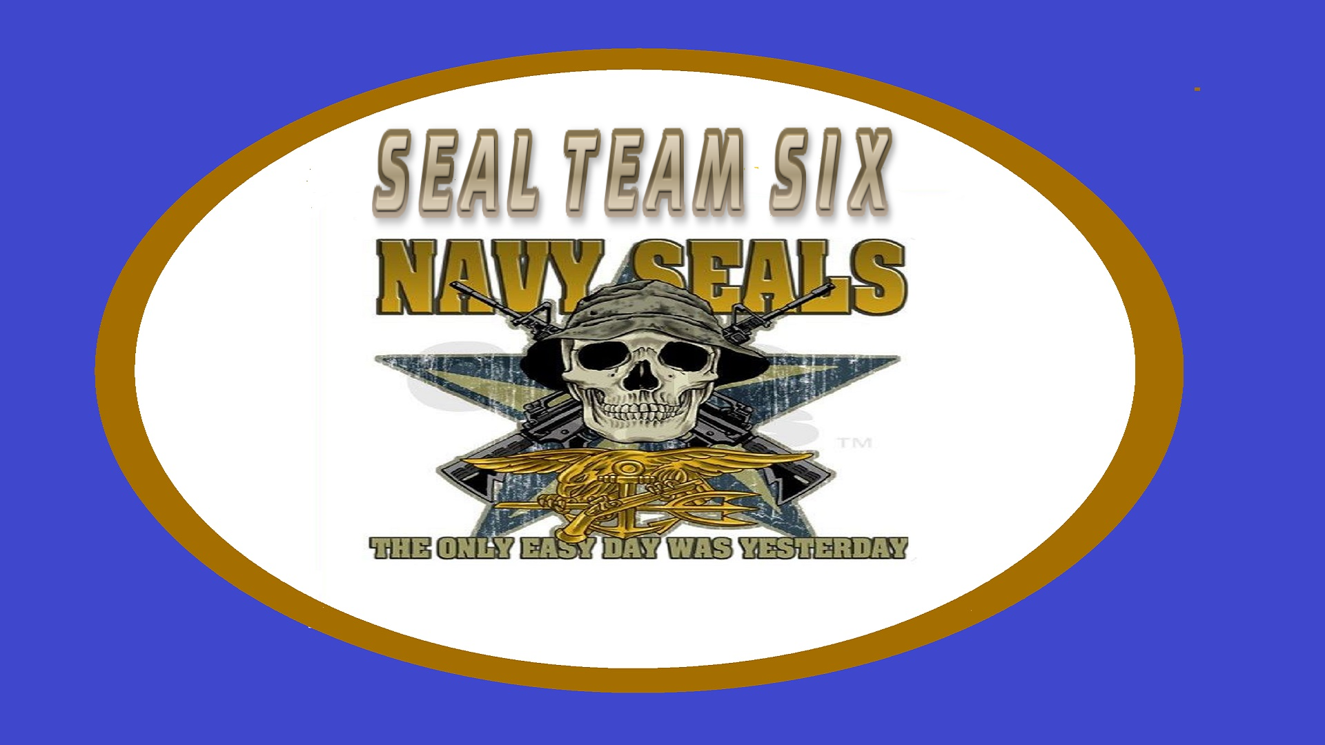 Sealteam6 fanart
