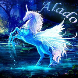 Alado Wizard 19