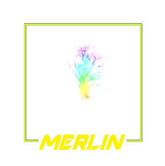 classic merlin wizard