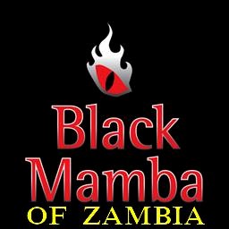 the black mamba wizard
