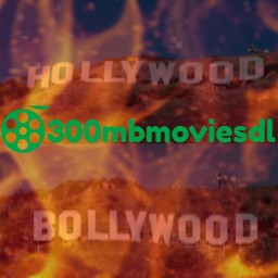 ER300MB Movies