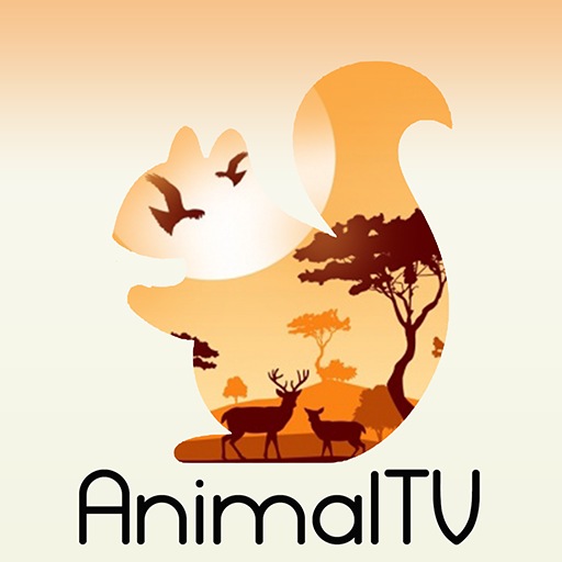 Animal TV