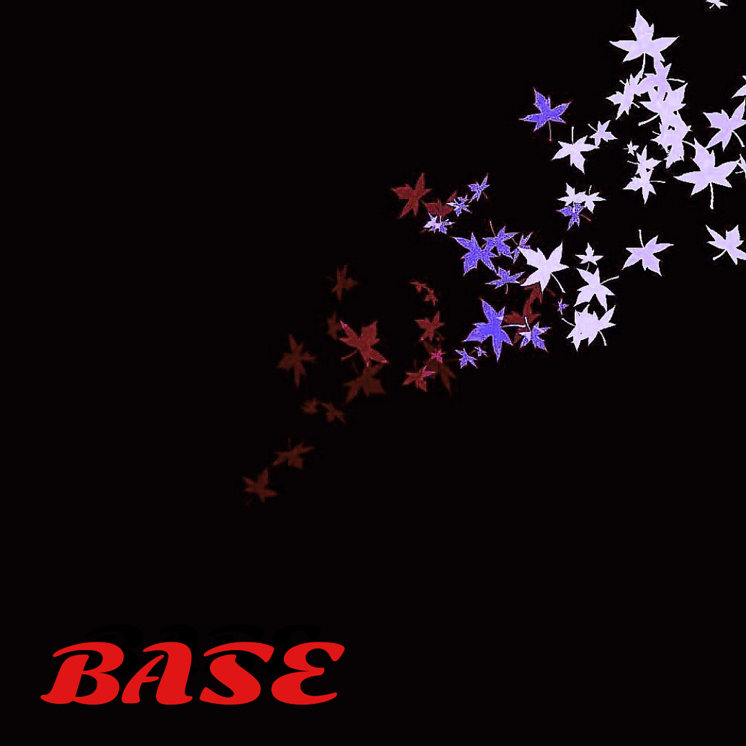 BASE 19