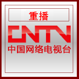 CCTV Replay