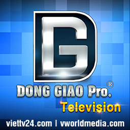 *Đồng Giao TV