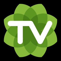 sagetv