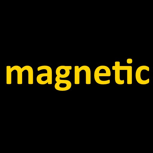 Magnetic Repo