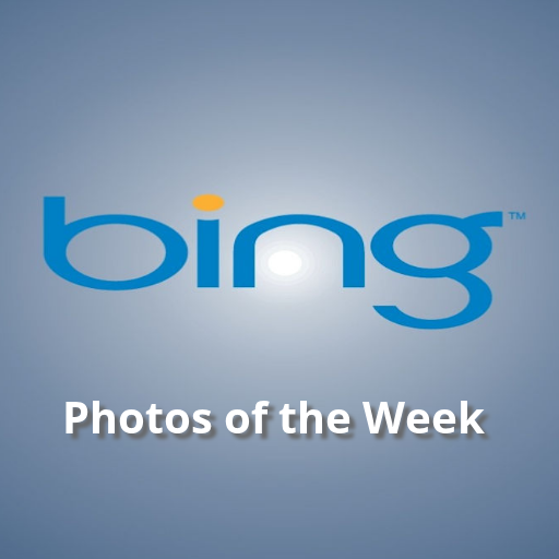 Bing: Photos of the Week