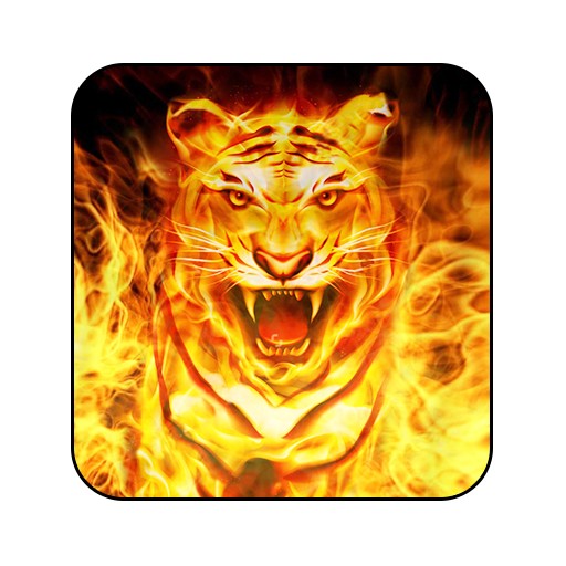 firecat live