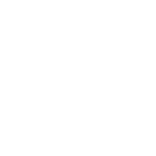 Record & Power Manager Service NG