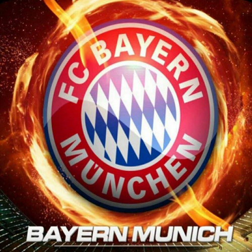 Fc Bayern München  (16)