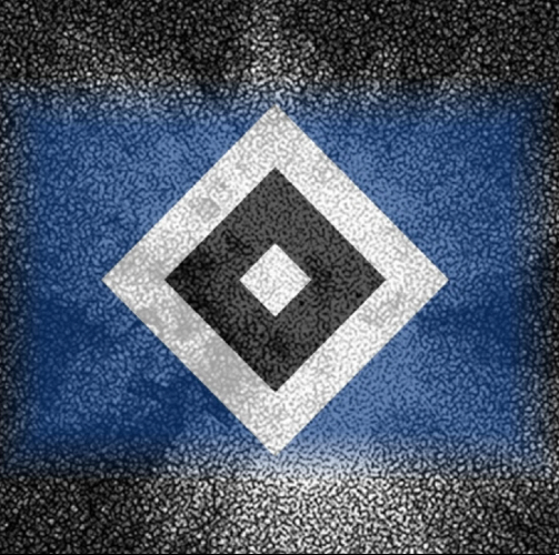 Nur der HSV  (16)