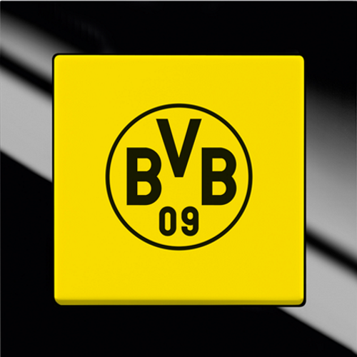 Borussia Dortmund  (16)