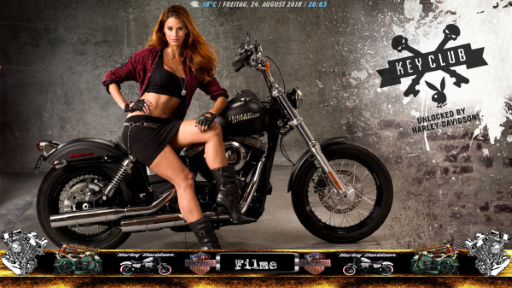 Harley Davidson